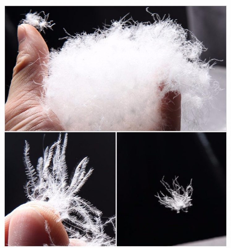 5 Lời khuyên chọn áo khoác lông vũ tốt nhất