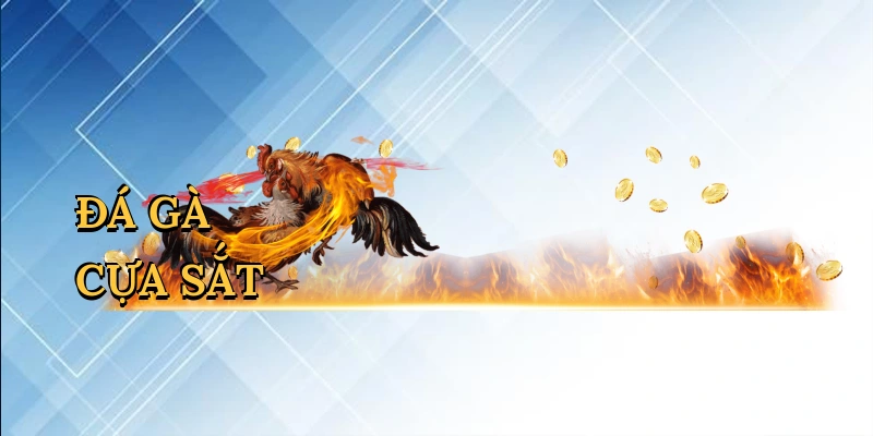 Đá gà cựa sắt