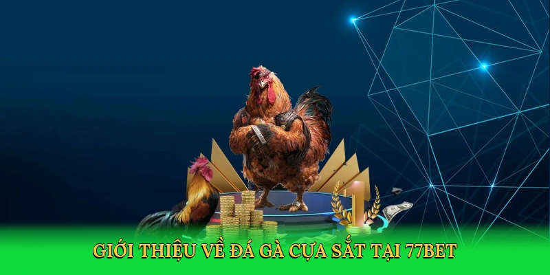 Đá Gà Cựa Sắt – Sàn Đấu Rực Lửa Cùng 77bet