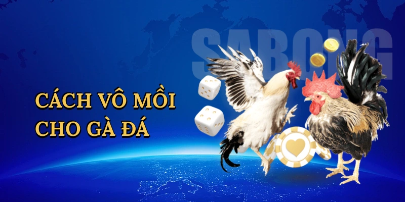 Cách Vô Mồi Cho Gà Đá: Bí Quyết Tạo Nên Chiến Kê Bất Bại