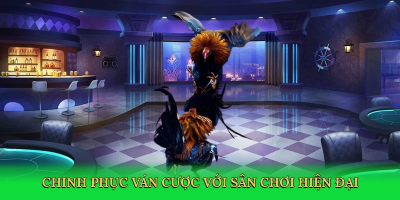 Cách Vô Mồi Cho Gà Đá: Bí Quyết Tạo Nên Chiến Kê Bất Bại