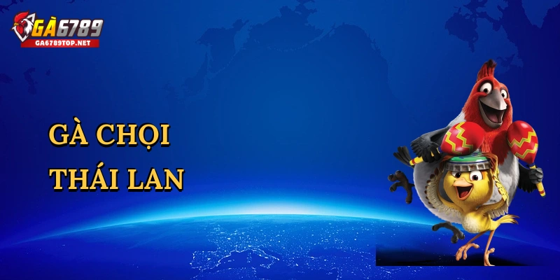 Gà chọi Thái Lan