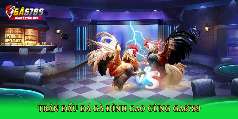 Trận đấu đá gà đỉnh cao cùng GA6789